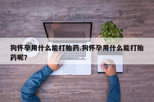 堕胎药网上可以购买吗狗怀孕用什么能打胎药.狗怀孕用什么能打胎药呢？