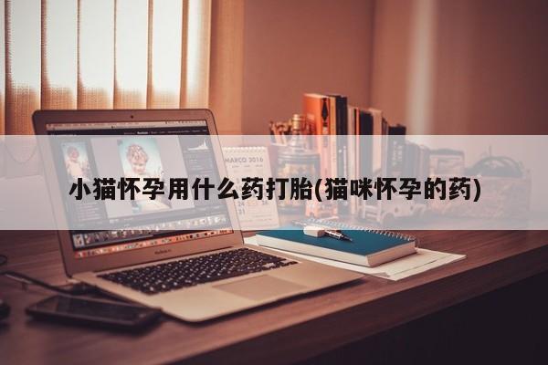 堕胎药网上可以购买吗小猫怀孕用什么药打胎(猫咪怀孕的药)