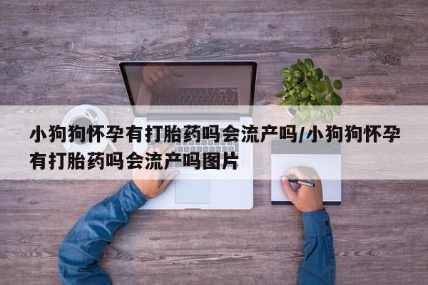 堕胎药网上可以购买吗小狗狗怀孕有打胎药吗会流产吗/小狗狗怀孕有打胎药吗会流产吗图片