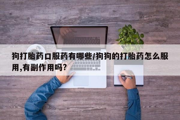 堕胎药网上可以购买吗狗打胎药口服药有哪些/狗狗的打胎药怎么服用,有副作用吗?